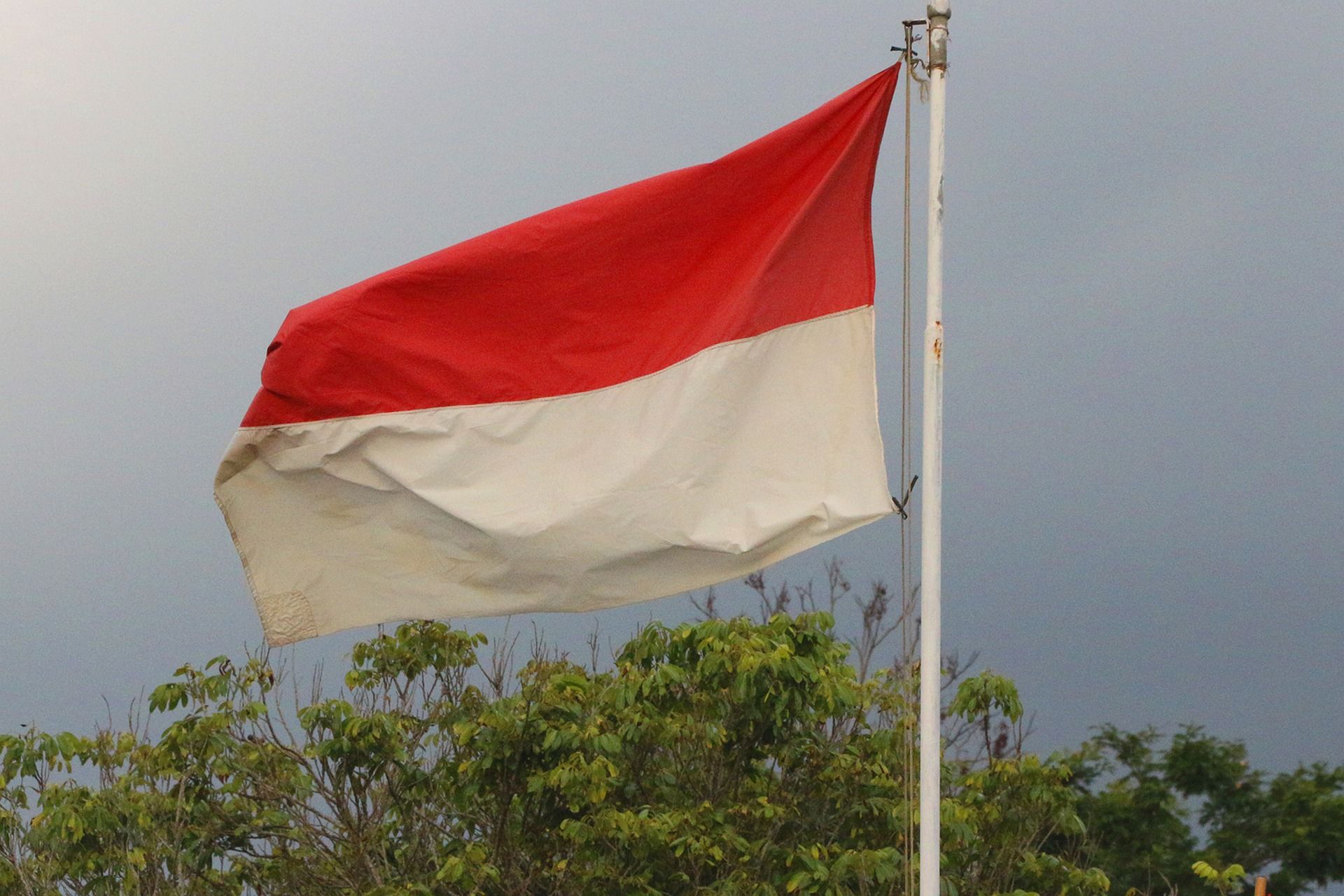 Pria Ini Merobek dan Menginjak-injak Bendera Merah Putih