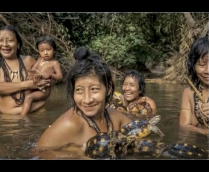 Fakta Menarik tentang Suku Berbahaya di Hutan Amazon &#91;Kompetisi KGPT&#93;