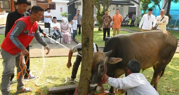 Anies Larang Pemotongan Hewan Kurban Saat Idul Adha 2021 di Kawasan Zona Merah
