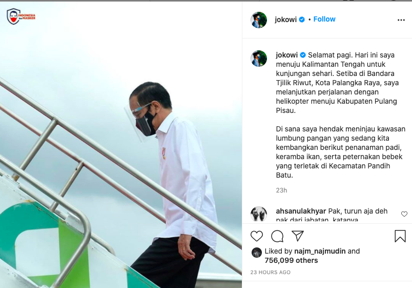 Viral Foto Jokowi Lebih Suka Lihat Bebek Ketimbang Pendemo Omnibus Law