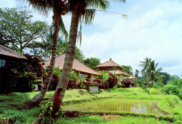 Hotel Unik Di Ubud Bali Wowwww Indonesia Punya Hotel Terbaik di Asia Tenggara 