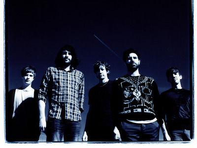 Foals