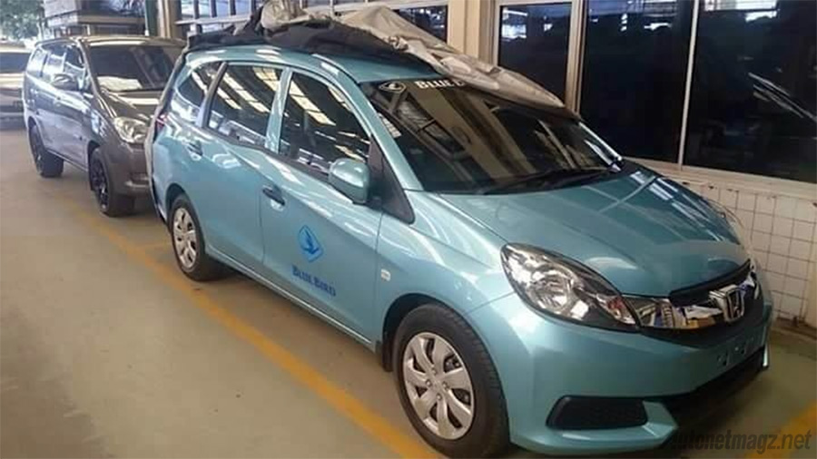 makin-gemuk-blue-bird-siap-pinang-honda-mobilio