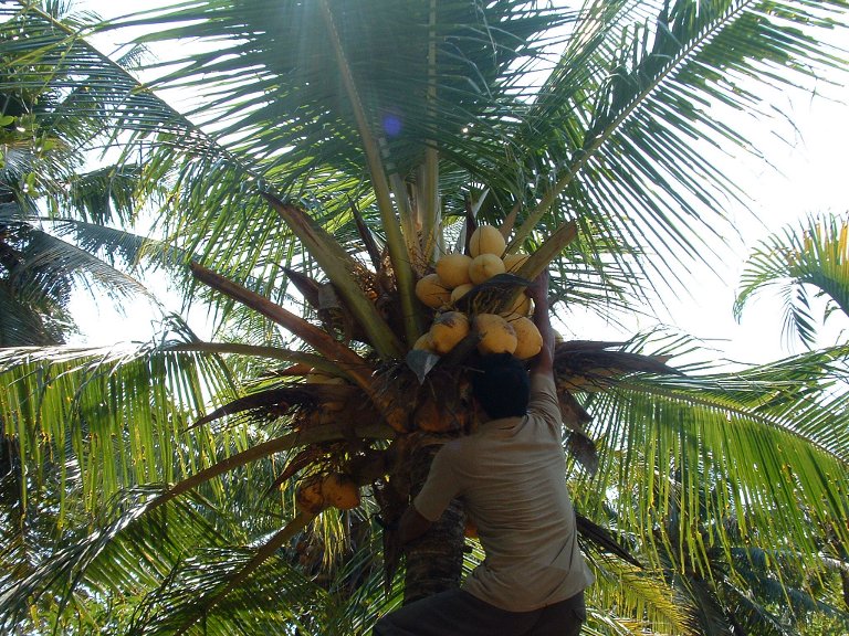pic-fotografi-amatir-karya-sendiri-kaskuser-ry