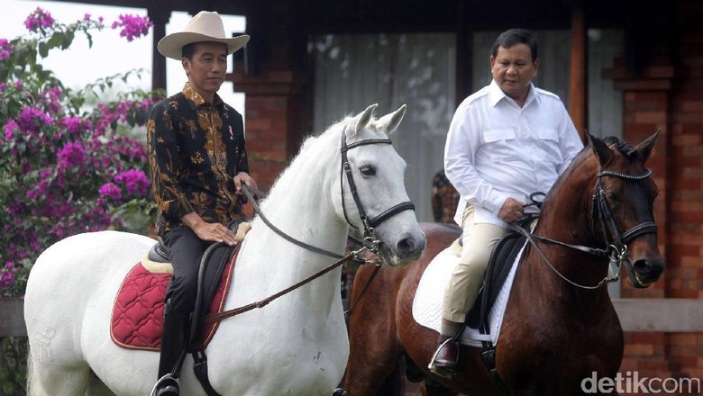 9 Kuda Pacu Paling Cepat di Dunia