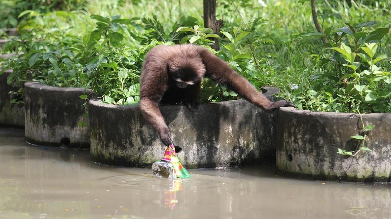 Yuk Kurangi Sampah Plastik di Tempat Wisata
