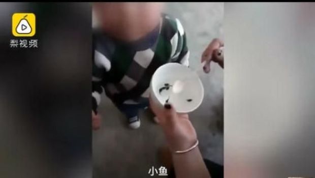 Viral, Video Anak di China Diberi Makan Kecebong Hidup