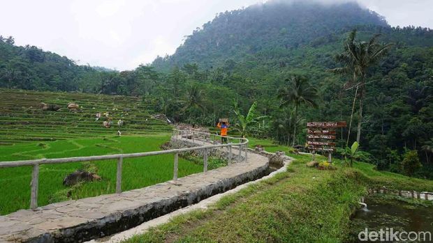 &#91;CoC Regional: Lokasi Wisata&#93; Wisata Pagubugan, Nyemplung di Tengah Sawah