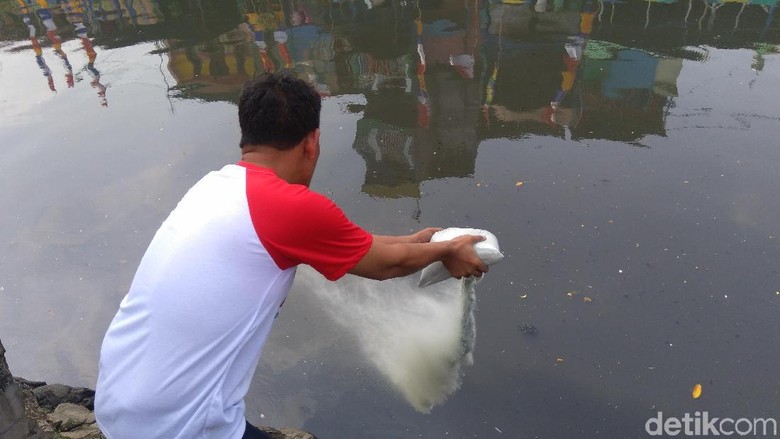 Ini Serbuk Penghilang Bau di Kali Item