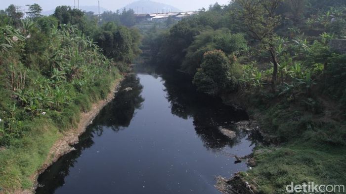 Pemerintah Hitung Biaya Benahi Sungai Citarum