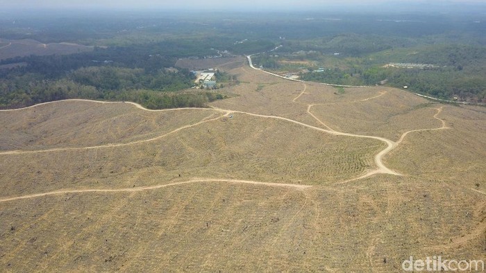 Lengkap! Ini Tahapan Pemindahan Ibu Kota hingga 2045