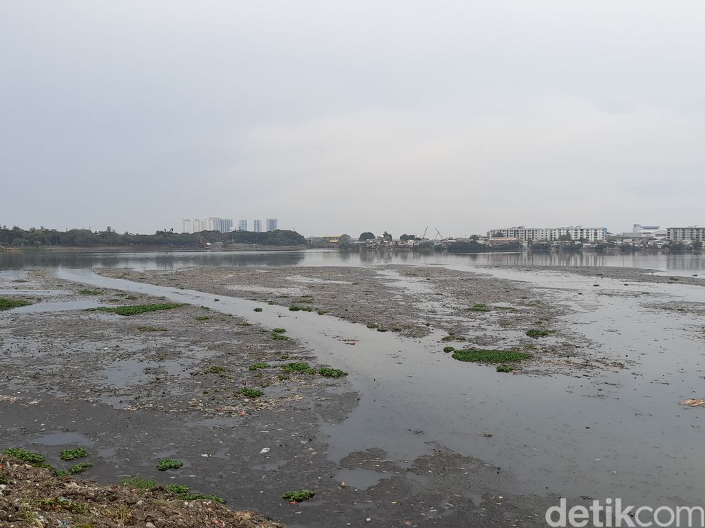 Warga Minta Waduk Pluit Dibersihkan dari Sampah dan Eceng Gondok