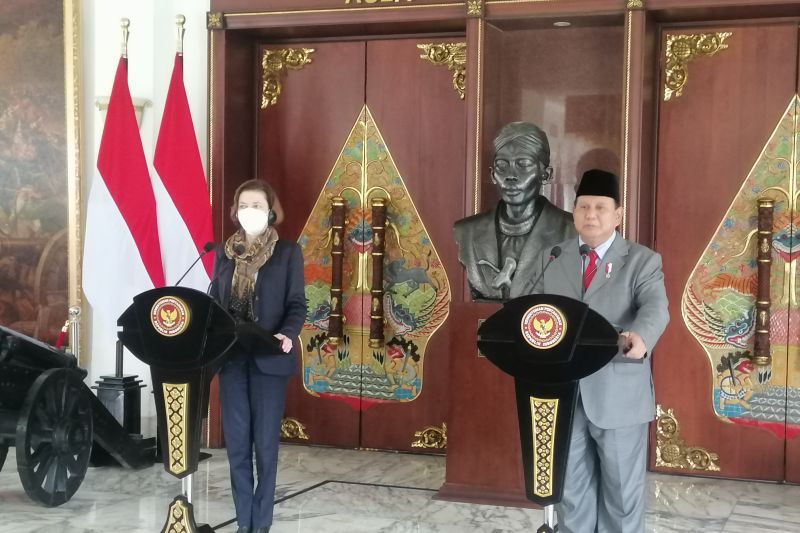 Prabowo Beli 6 Jet Tempur Dassault Rafale dari Prancis, 36 Lainnya Menyusul