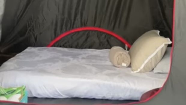 Yuk Intip Kegiatan Camping Presiden Jokowi di Titik Nol IKN 