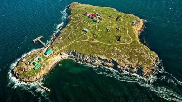 Mengapa Rusia Ngotot Rebut Pulau Ular dan Ukraina Gigih Pertahankan?