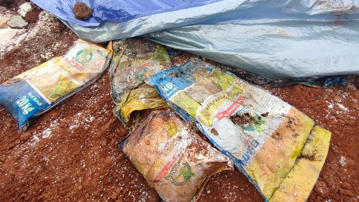 JNE Jelaskan soal Temuan Beras Bansos Membusuk Dikubur di Depok