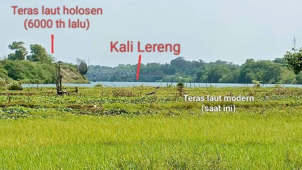  Benteng Alam Tsunami Megathrust di Selatan Jawa Mengecil, Ada Apa?