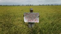 tahun-politik-ombudsman-minta-masyarakat-awasi-impor-pangan