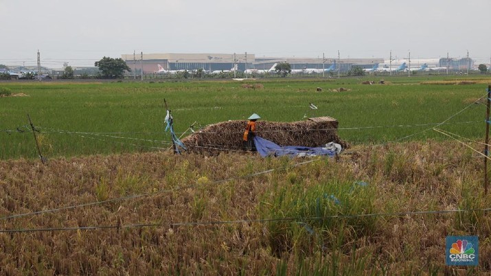 Duh Kasihan, Nilai Tukar Petani Turun Lagi di April 2019