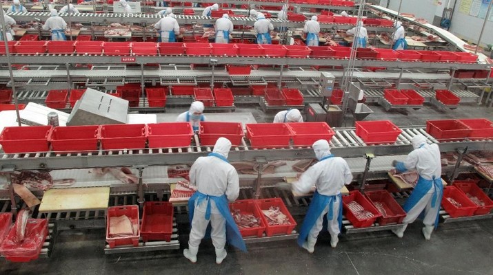 Gawat! Krisis Babi di China Makin Parah, 80% Kebutuhan Impor
