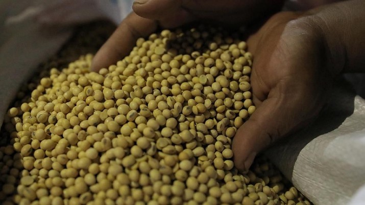 Kemendag Pastikan Stok Kedelai Cukup, Tapi Kok Harga Mahal?