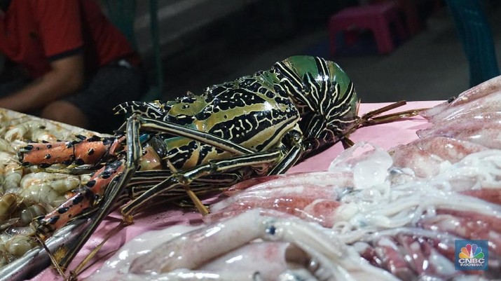 Oh My! China Tolak Seafood RI Karena Ada Virus Covid-19