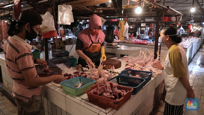 Siap-Siap Ibu, Harga Ayam Bakal Terbang, Ini Biang Keroknya