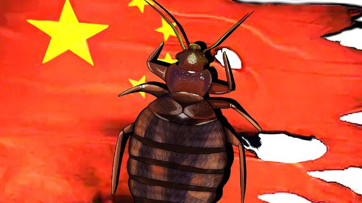 Heboh Virus Tick-Borne di China, Bisa Menular Antarmanusia?