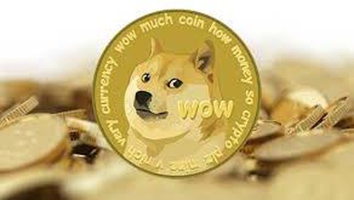 Beli Dogecoin Modal Vario, Hold Setahun Jadi Rumah di BSD