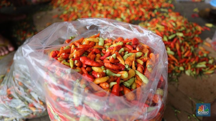 Harga Cabai Rawit Mahal, BI Ramal Inflasi Februari 1,35%