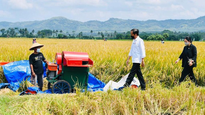 Di Malang, Jokowi: Kita tidak Perlu yang Namanya Impor Beras!