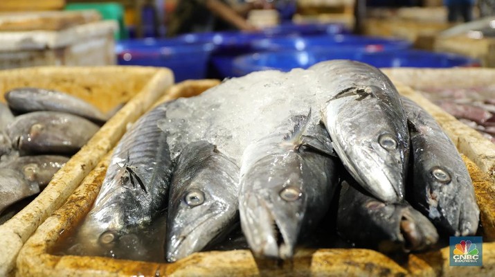 Banyak Nelayan Miskin, Triliunan dari Ikan Laut RI ke Mana?