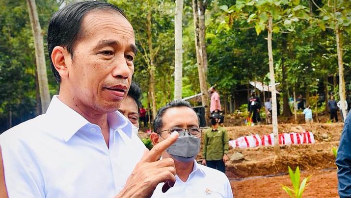 Heboh Jokowi 'Tolak' Usulan Luhut, Ada Apa Ini?