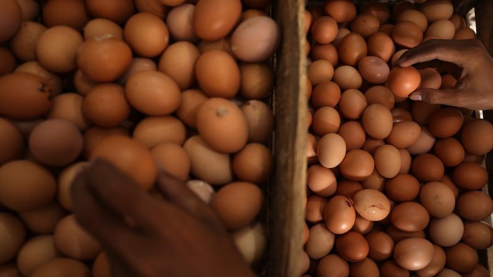 'Meledak'! Harga Telur Rekor ke Rp35.000, DPR Warning Zulhas