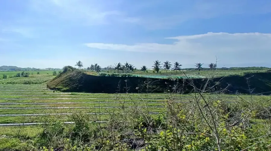  Benteng Alam Tsunami Megathrust di Selatan Jawa Mengecil, Ada Apa?