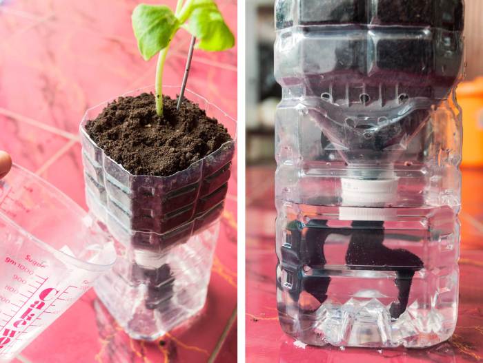 &#91;KOMBAT - Kaskuser Go Green&#93; Self Watering Pot dari Botol Bekas