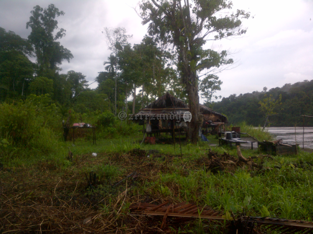 FR Jelajahi &quot;sebagian&quot; Sungai Mamberamo &amp; Pesisirnya | Kab. Mamberamo Raya | Papua