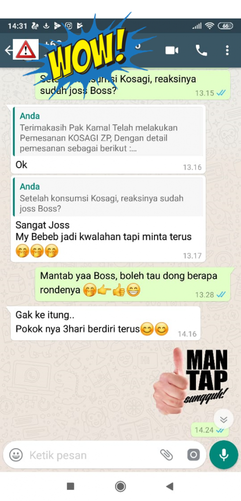 Agen Kesagi Sidoarjo Hub: 0813-1241-0242-COD