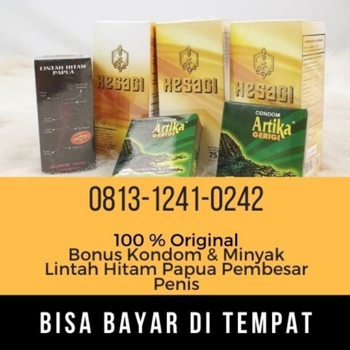 Agen Kesagi Sidoarjo Hub: 0813-1241-0242-COD