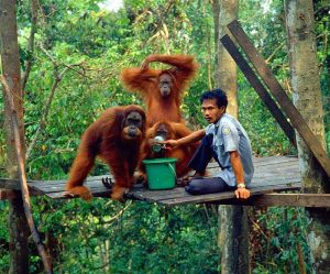 &#91;COC travellers&#93; Keindahan Langkat Yang Menawan