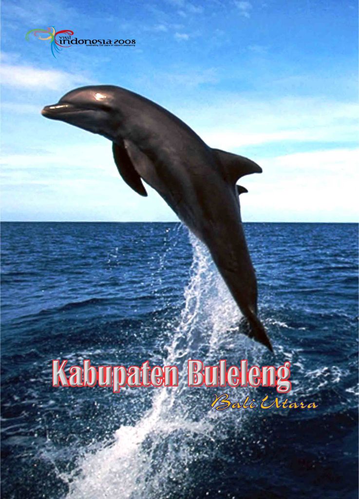 Bangun Bandara Baru di Buleleng Barat. Kembangkan Potensi Wisata BALI Barat & Utara?