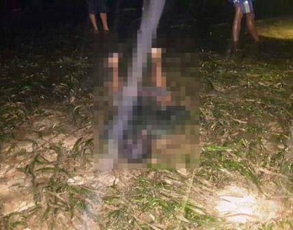 Lima Berita Menarik yang Mungkin Anda Lewatkan