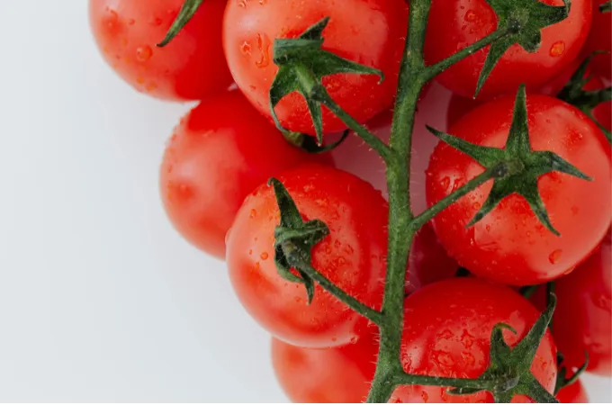 Maksimalkan Hasil Skincare White Tomato Beauty of Angel dengan Cara Ini