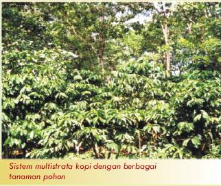 Teknologi-teknologi Pengendalian Banjir