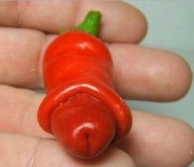 10 Jenis Cabe-cabean Unik