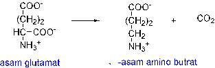 Bahaya mengkonsumsi Monosodium Glutamate (MSG) 