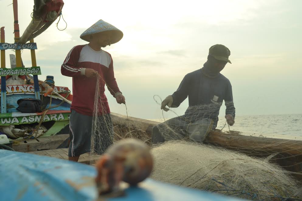 Tidak Mau Makan Ikan?Saya Tenggelamkan.Ini Alasannya