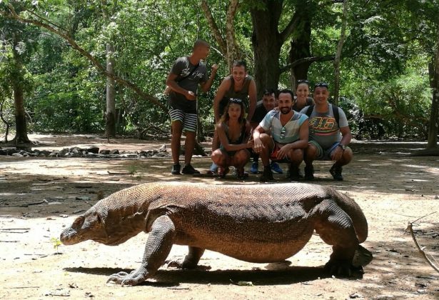 Yuk Nabung Dulu Buat Mampir ke Pulau Komodo, Gan-Sis! Biaya Masuknya 14 Juta 