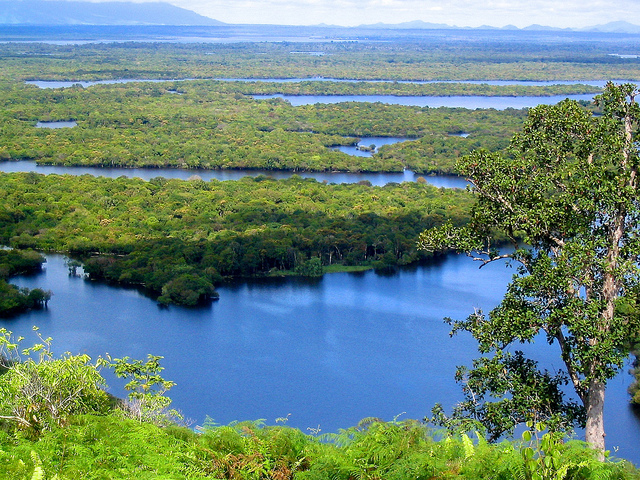 ''wonderful indonesia'' -Taman Nasional Danau Sentarum: Hutan di Atas Air