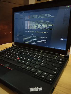 Review Laptop Lenovo Thinkpad X230